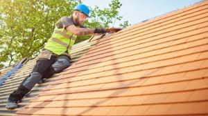 Best Roof Ventilation Installation  in Austin, MN