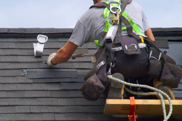 Best Flat Roofing  in Austin, MN